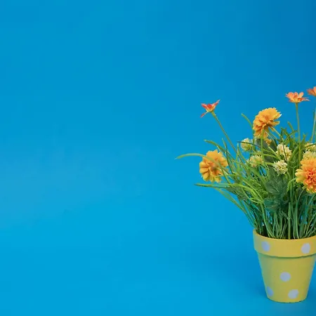 ゲストハウス Budget ルーカン