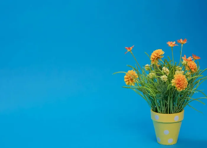 Gasthof Budget Lucan